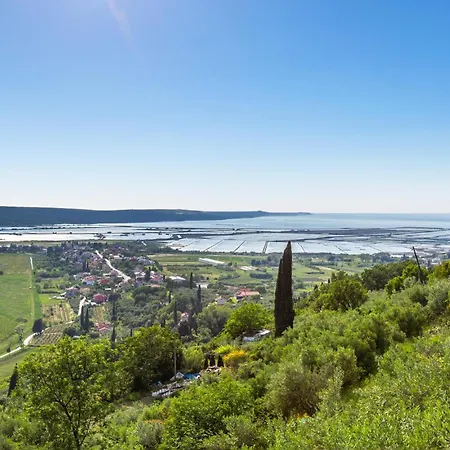 Appartement 1 Bedroom Amazing In Sečovlje