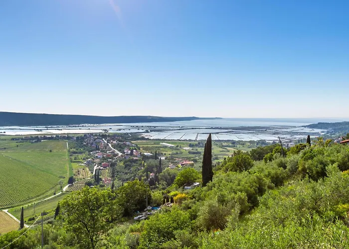 Διαμέρισμα 1 Bedroom Amazing In Sečovlje